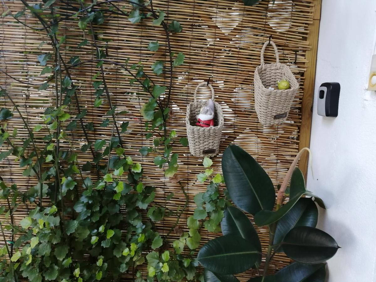 Olga'S Cozy Nest , Apartment In Ano Korakiana. Dış mekan fotoğraf
