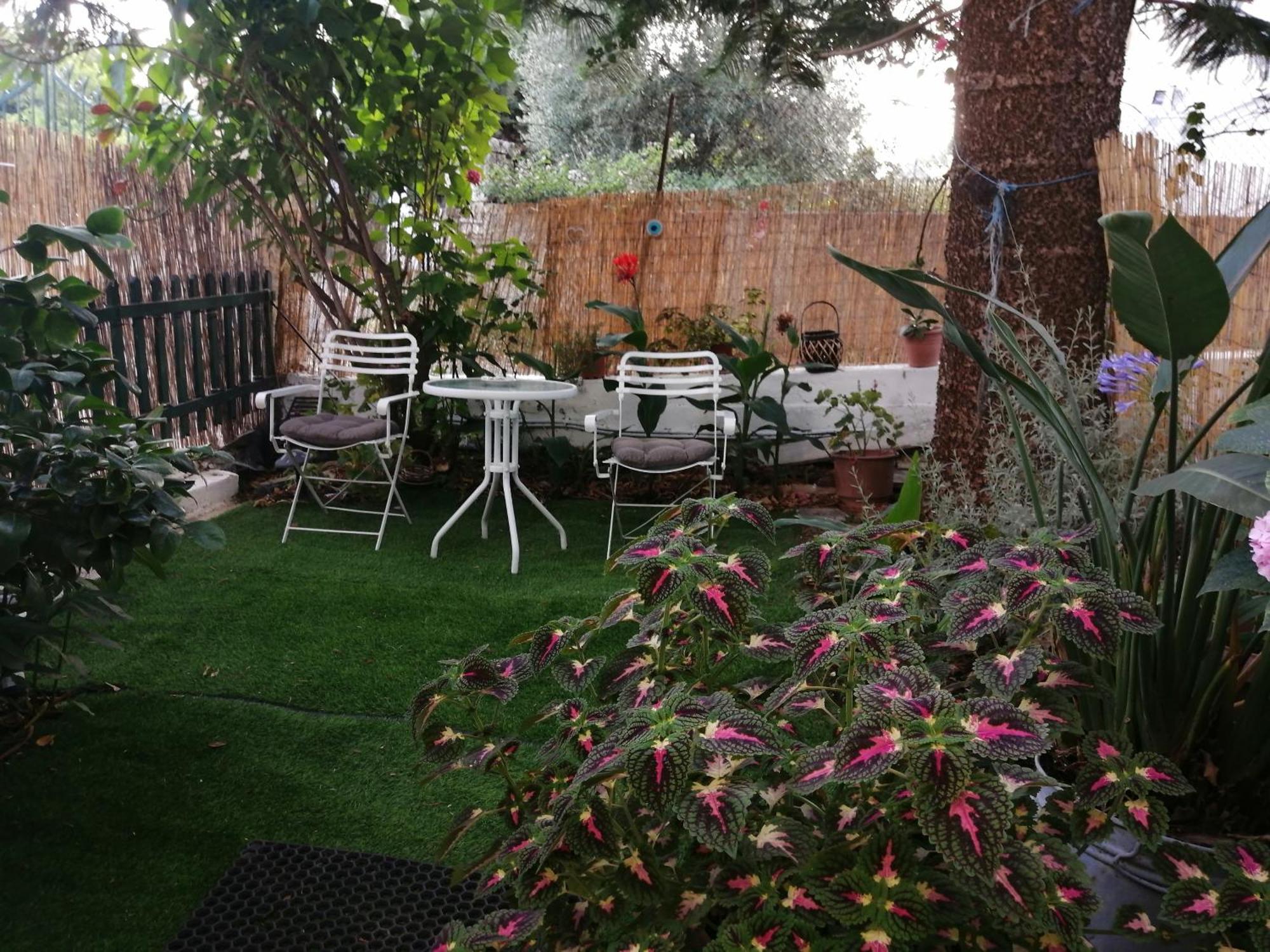 Olga'S Cozy Nest , Apartment In Ano Korakiana. Dış mekan fotoğraf